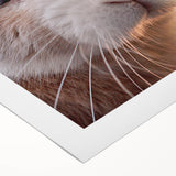 Art deco poster featuring a stylized spring scene in pastel shades on rolled canvas, suitable for dining room art wall.