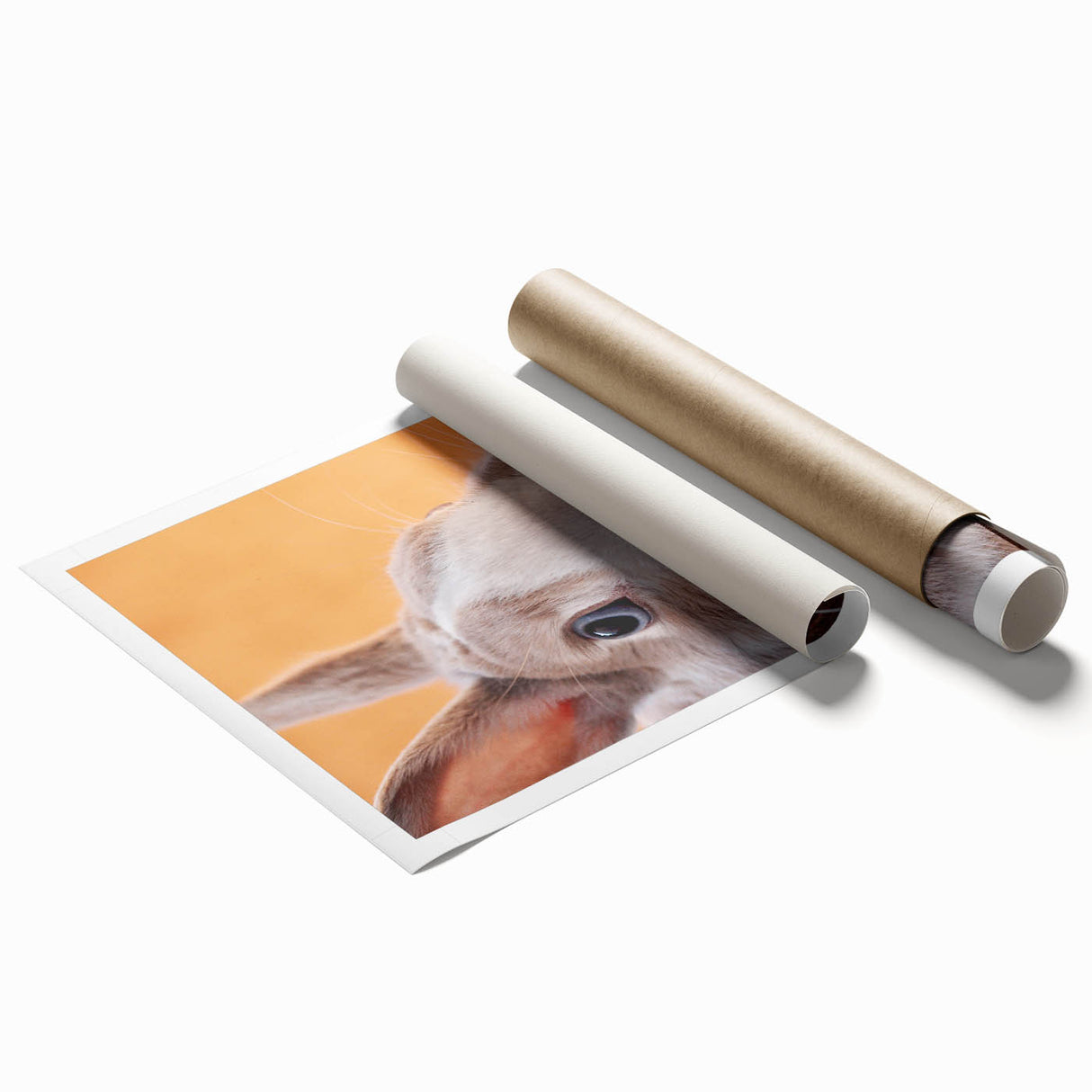 Extra large rolled print featuring a floral art design in pastel shades, ideal for classy bathroom wall art.