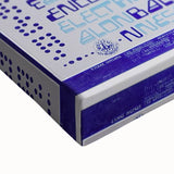 Taj Mahal & Dave Van Ronk 1960s Concert Poster - Psychedelic Art