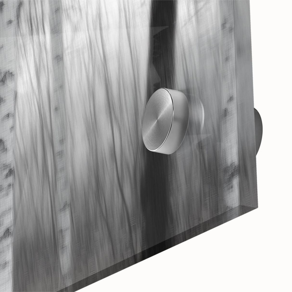 Birch Forest Blur – Dynamic Black and White Abstract Motion Wall Art