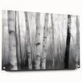 Birch Forest Blur – Dynamic Black and White Abstract Motion Wall Art