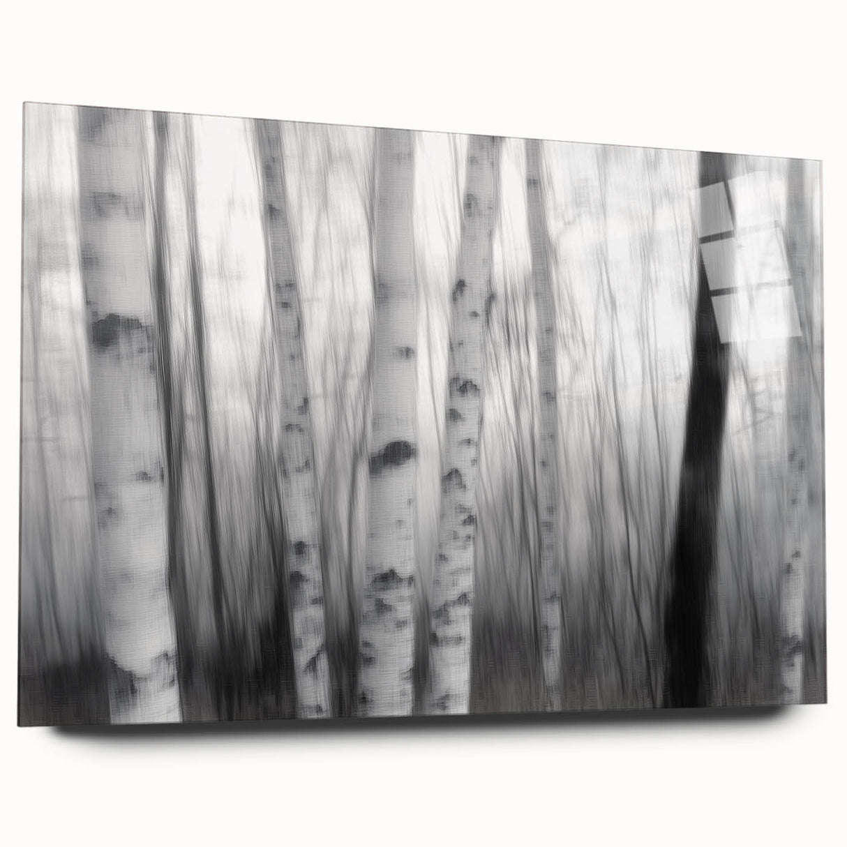 Birch Forest Blur – Dynamic Black and White Abstract Motion Wall Art