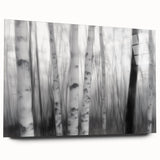 Birch Forest Blur – Dynamic Black and White Abstract Motion Wall Art