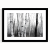 Birch Forest Blur – Dynamic Black and White Abstract Motion Wall Art