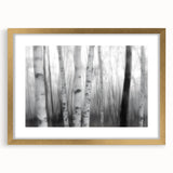 Birch Forest Blur – Dynamic Black and White Abstract Motion Wall Art