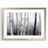 Birch Forest Blur – Dynamic Black and White Abstract Motion Wall Art