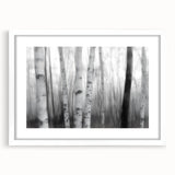 Birch Forest Blur – Dynamic Black and White Abstract Motion Wall Art