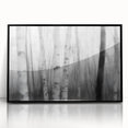 Birch Forest Blur – Dynamic Black and White Abstract Motion Wall Art