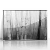 Birch Forest Blur – Dynamic Black and White Abstract Motion Wall Art