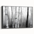 Birch Forest Blur – Dynamic Black and White Abstract Motion Wall Art