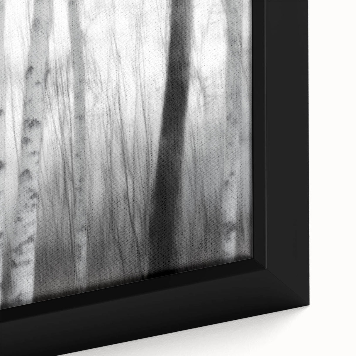 Birch Forest Blur – Dynamic Black and White Abstract Motion Wall Art