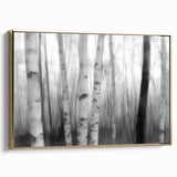 Birch Forest Blur – Dynamic Black and White Abstract Motion Wall Art
