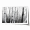 Birch Forest Blur – Dynamic Black and White Abstract Motion Wall Art