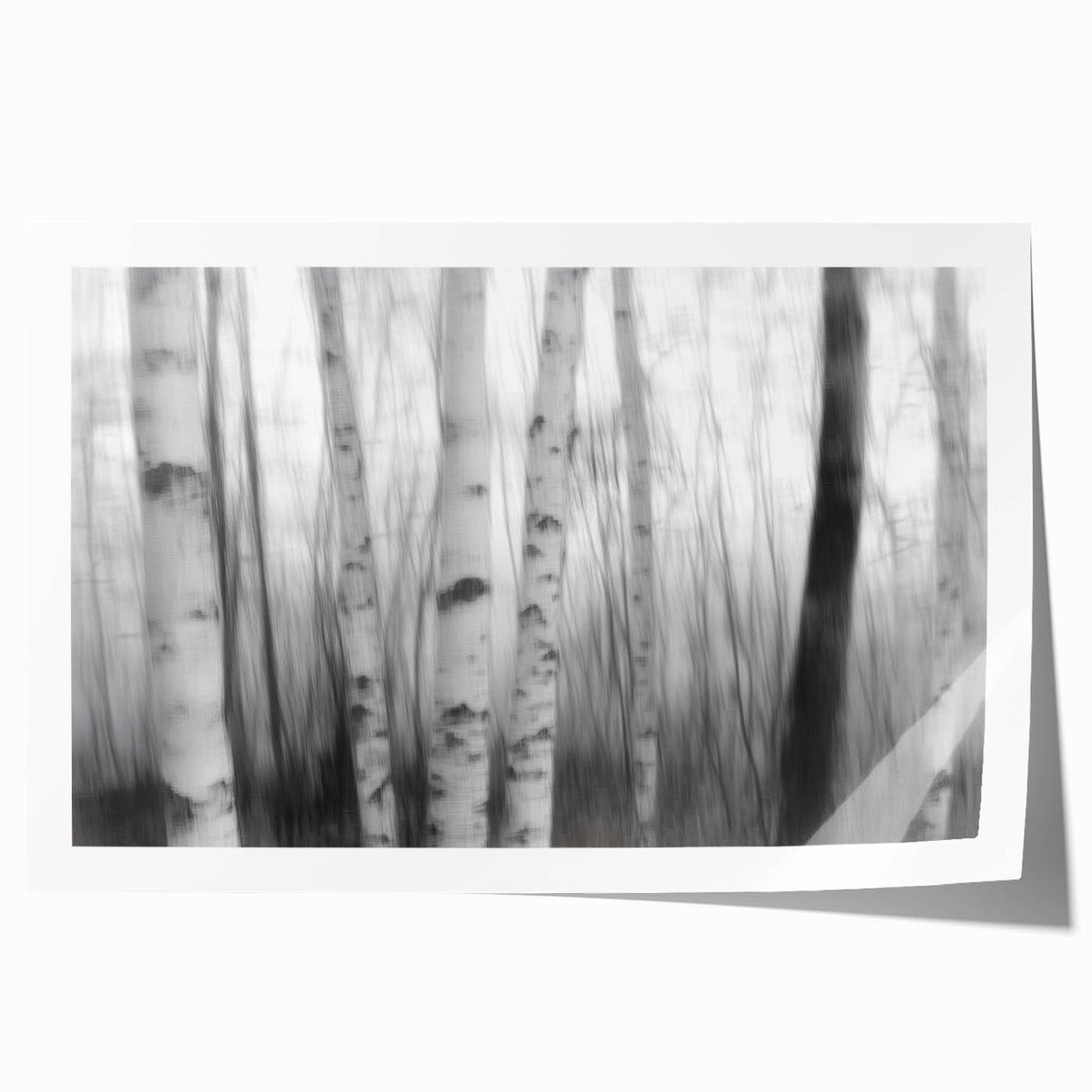 Birch Forest Blur – Dynamic Black and White Abstract Motion Wall Art