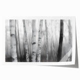 Birch Forest Blur – Dynamic Black and White Abstract Motion Wall Art
