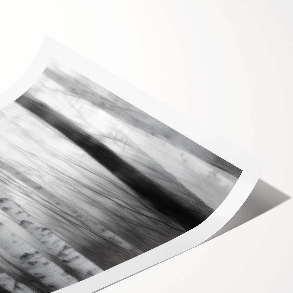 Birch Forest Blur – Dynamic Black and White Abstract Motion Wall Art