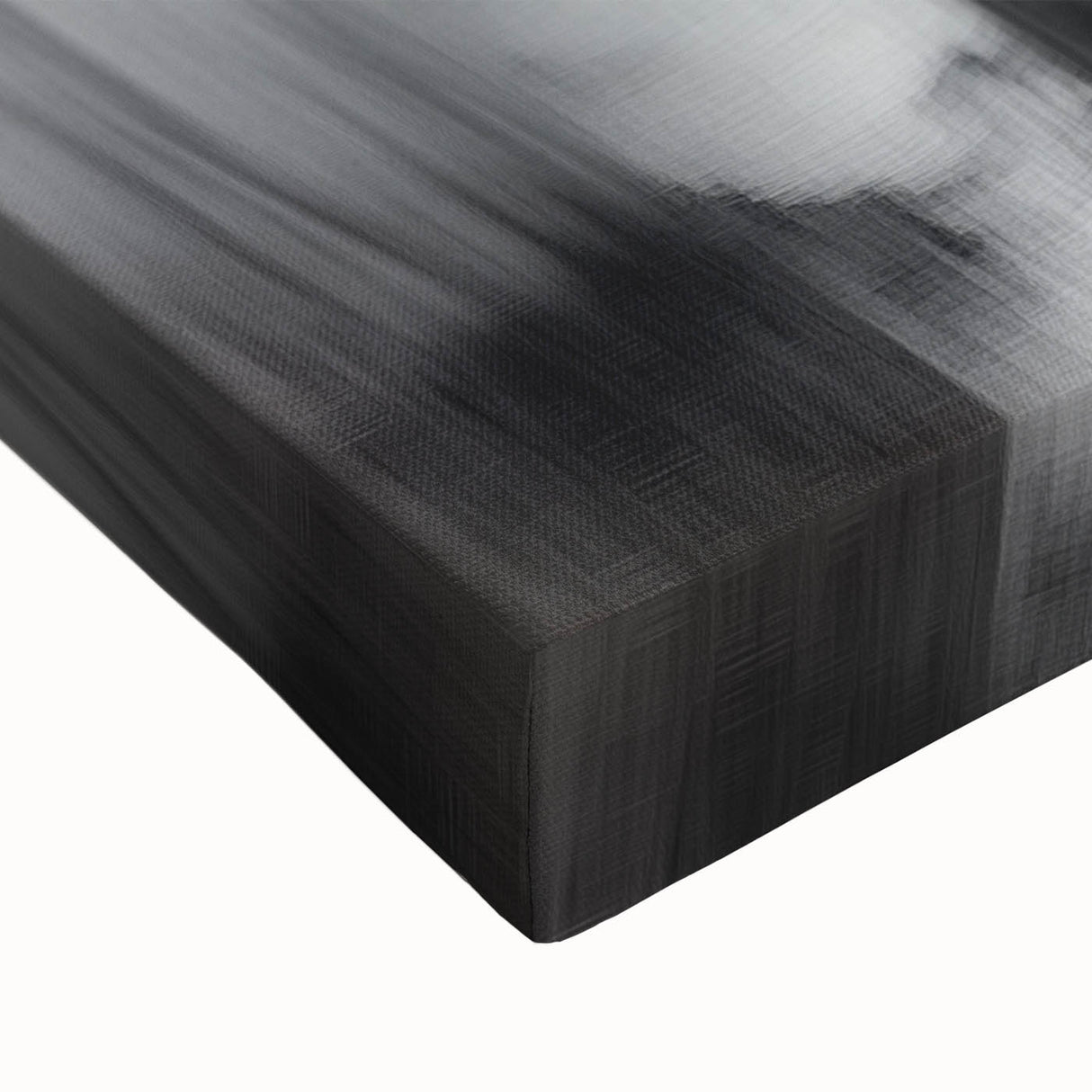 Birch Forest Blur – Dynamic Black and White Abstract Motion Wall Art