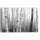Birch Forest Blur – Dynamic Black and White Abstract Motion Wall Art
