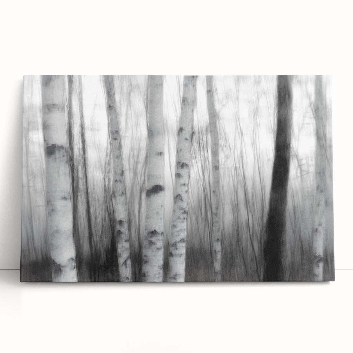 Birch Forest Blur – Dynamic Black and White Abstract Motion Wall Art