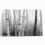 Birch Forest Blur – Dynamic Black and White Abstract Motion Wall Art