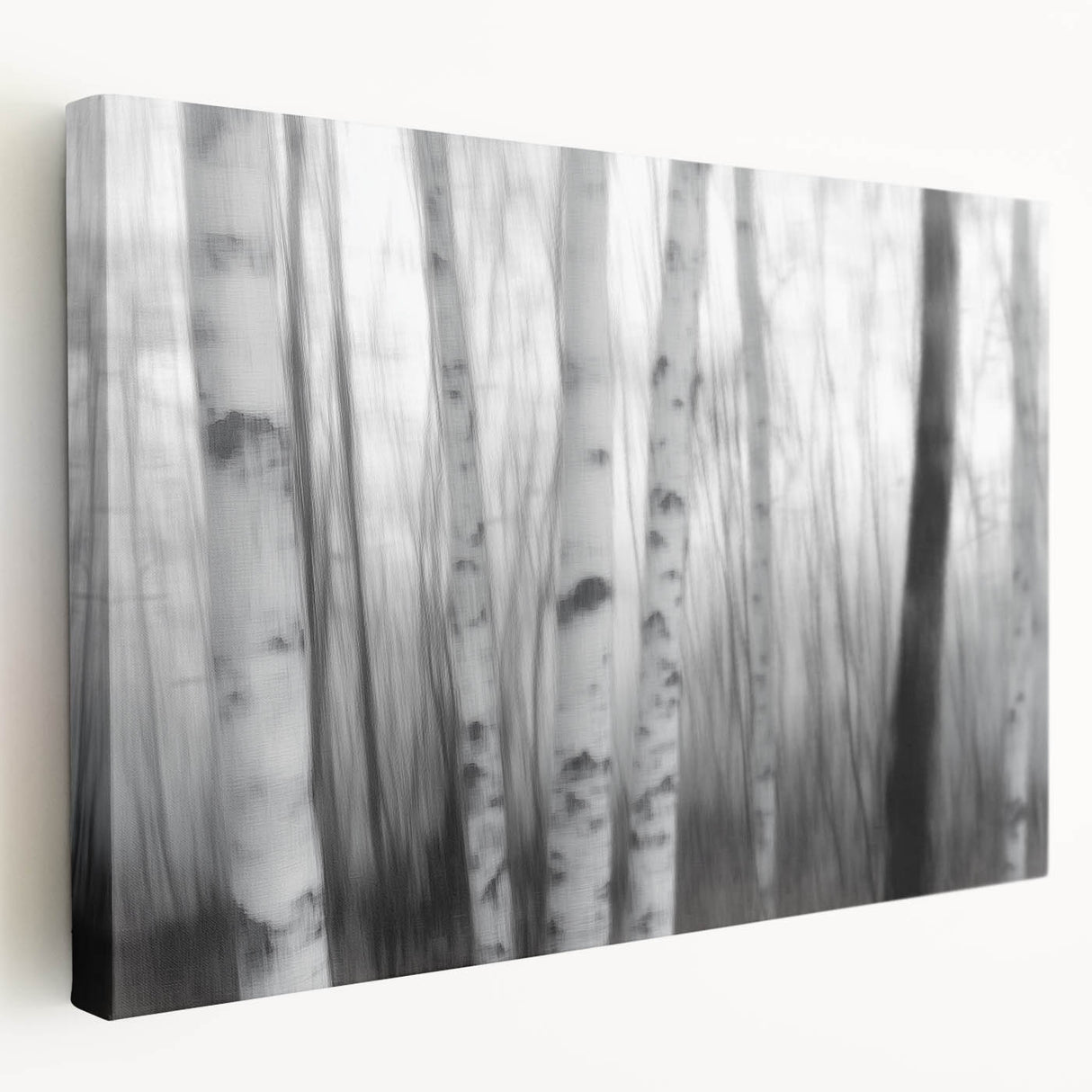 Birch Forest Blur – Dynamic Black and White Abstract Motion Wall Art