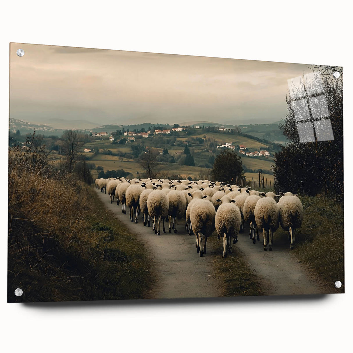 Acrylic glass display featuring a vibrant countryside landscape design, showcasing rolling hills and a clear sky, mounted with stylish pins for an elegant presentation.