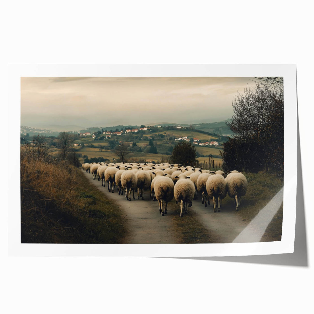 Scenic countryside landscape rolled print showcasing vibrant green hills, a bright blue sky, and soft white clouds, elegantly packaged in a protective cardboard tube.