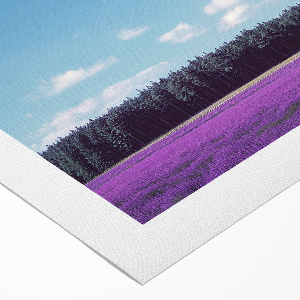 Vibrant rolled canvas artwork depicting serene landscapes with lush green fields and rolling hills, elegantly packaged in a durable cardboard tube for safe delivery.