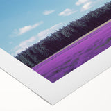 Vibrant rolled canvas artwork depicting serene landscapes with lush green fields and rolling hills, elegantly packaged in a durable cardboard tube for safe delivery.