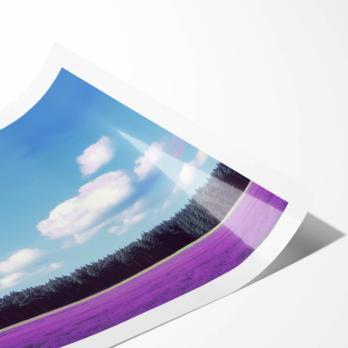 Vibrant rolled print of a serene landscape featuring lush green fields under a blue sky, elegantly packaged in a protective cardboard tube for easy transport.