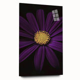 Large abstract floral print in soft pastel colors on acrylic glass, ideal for bedroom or dining room decor.