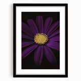 Extra large abstract art print featuring vibrant, colorful florals on textured canvas, ideal for living room decor.