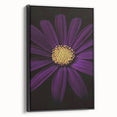 Black and white framed canvas featuring a close-up floral design, ideal for bedroom wall decor.
