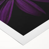 Art deco poster featuring close-ups of florals in vibrant colors on rolled canvas.