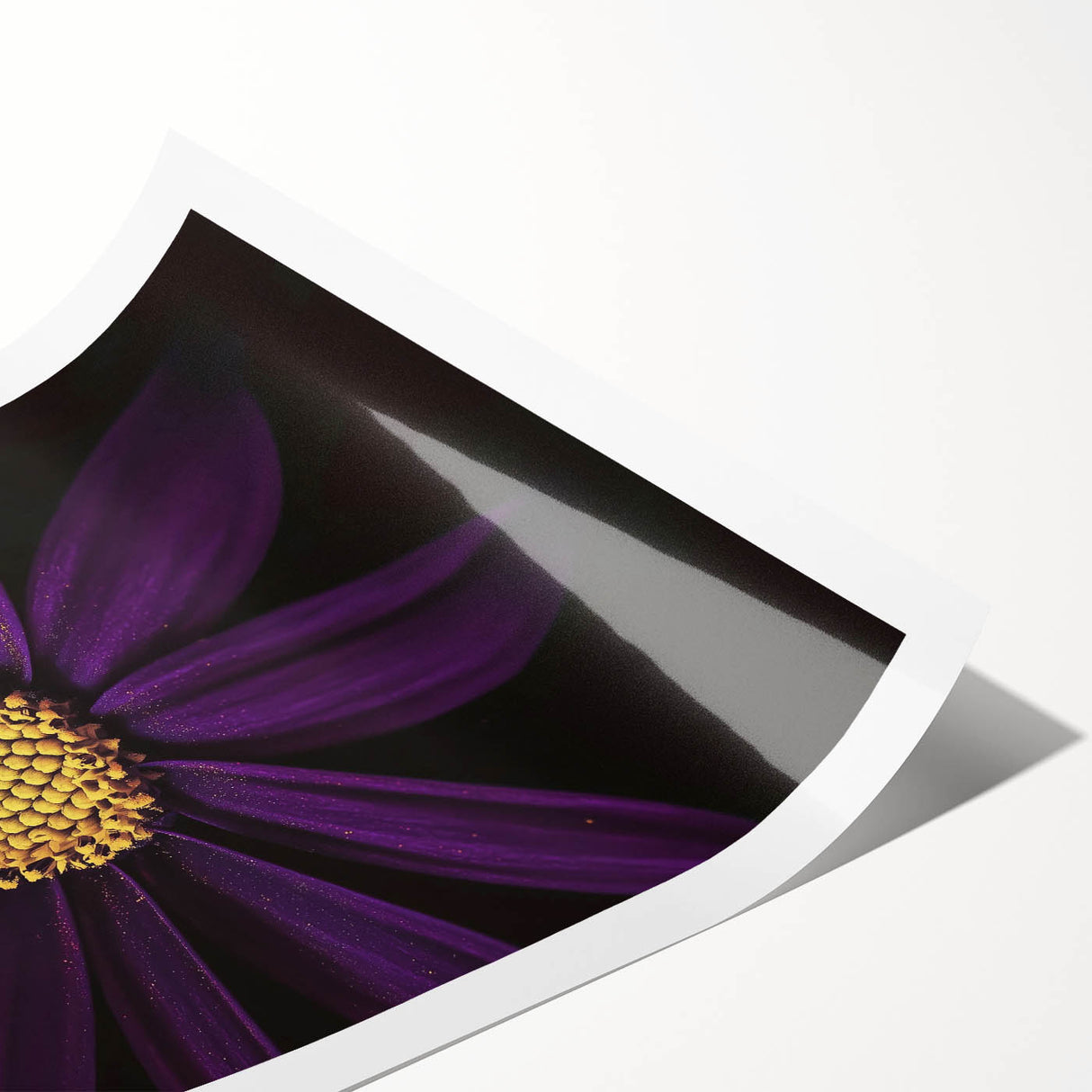 Extra large wall art featuring line art flowers in black and white on a rolled canvas, ideal for large living room decor.