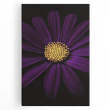 Black and white close-up floral photo on large stretched canvas, suited for kitchen wall art.