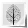 Glossy print of close-up green leaves, using soft focus, ideal for art wall dining room or classy bathroom decor.