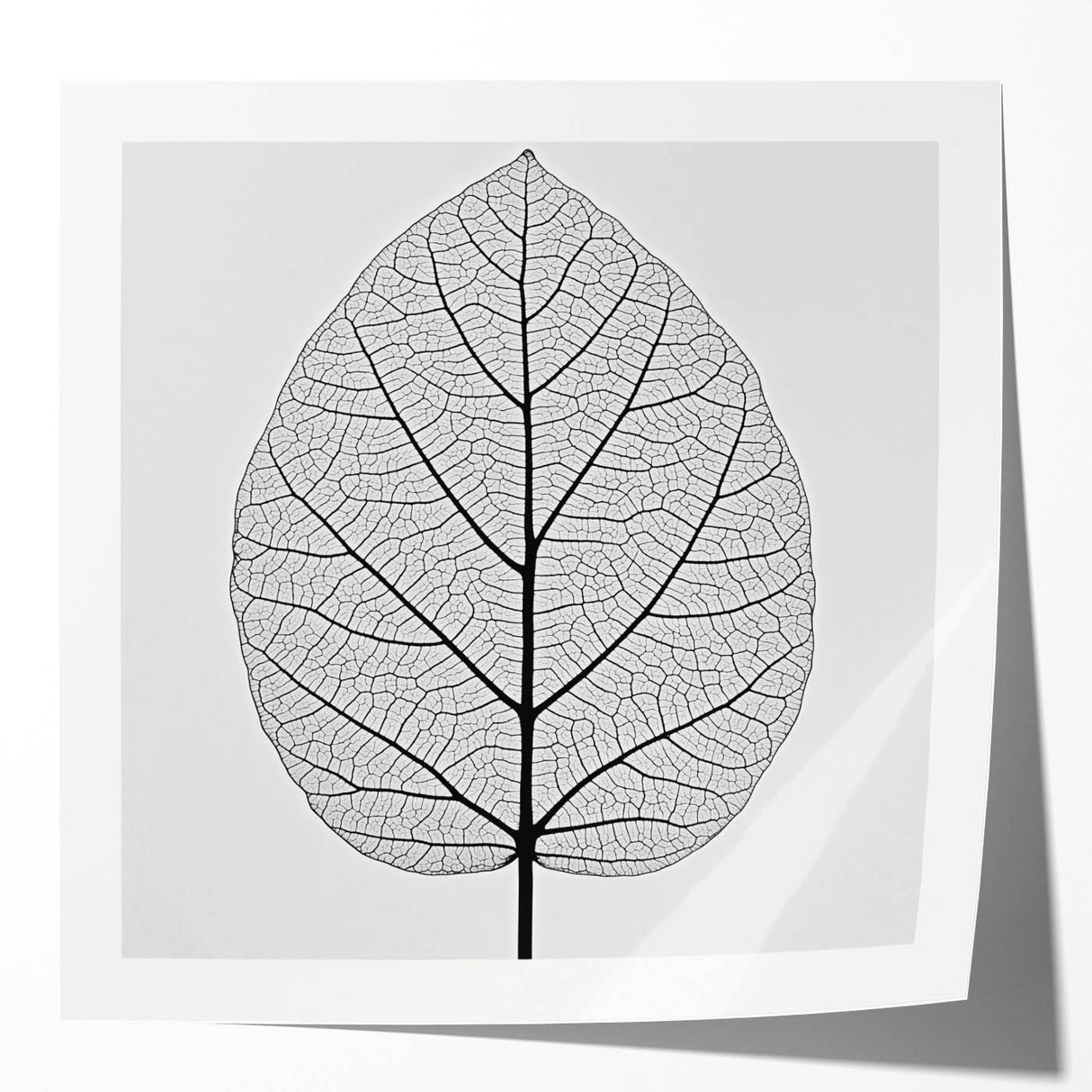 Glossy print of close-up green leaves, using soft focus, ideal for art wall dining room or classy bathroom decor.