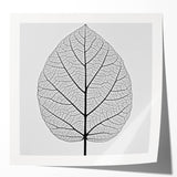Glossy print of close-up green leaves, using soft focus, ideal for art wall dining room or classy bathroom decor.