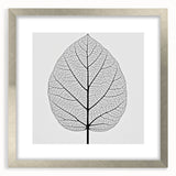 Textured abstract art print featuring close-up of green leaves, in a silver frame, suited for bedroom decor.
