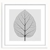 Abstract art print of close-up leaves in muted green and white, framed in white, ideal for dining room decor.