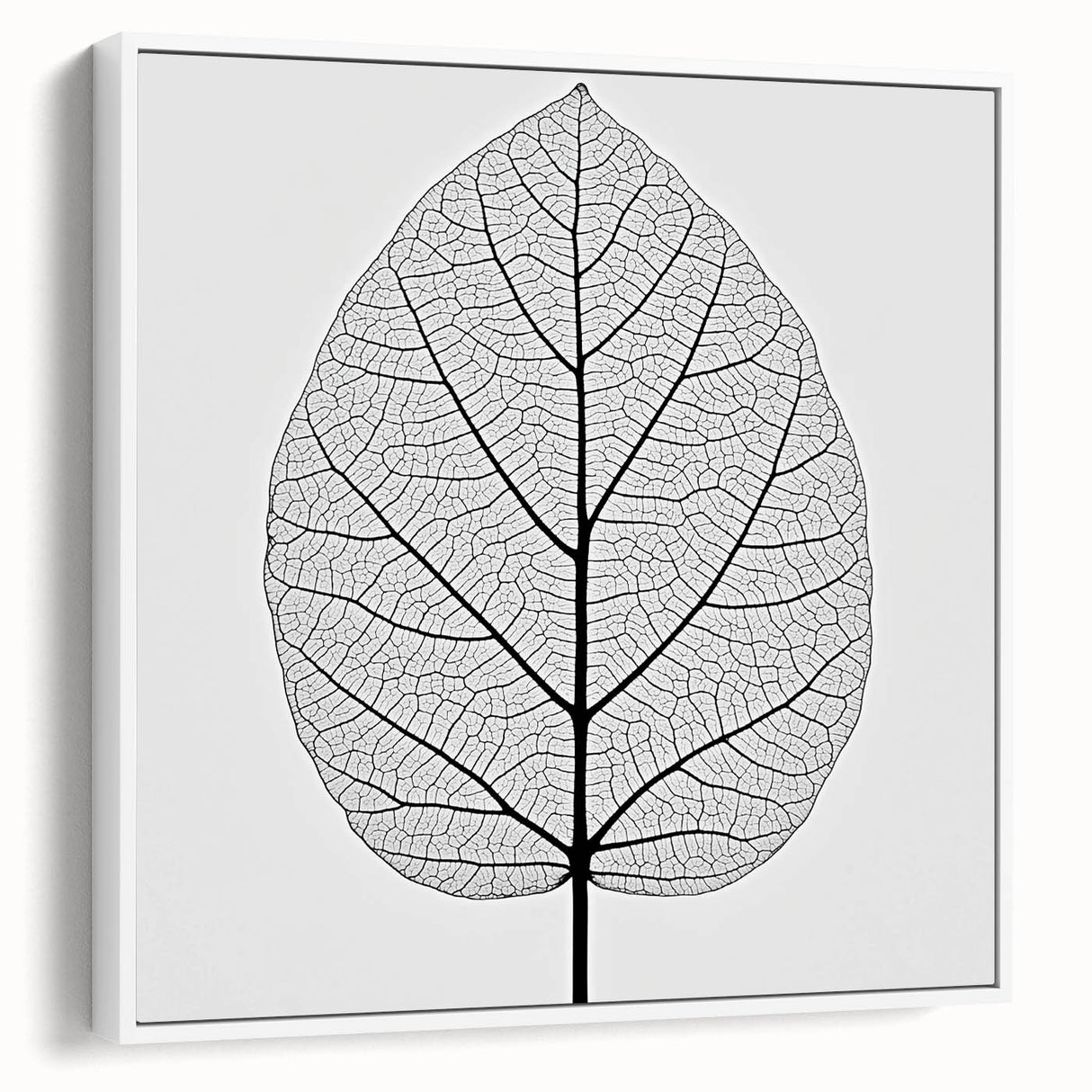 Framed canvas vintage poster art featuring a close-up of colorful leaves against a black background.