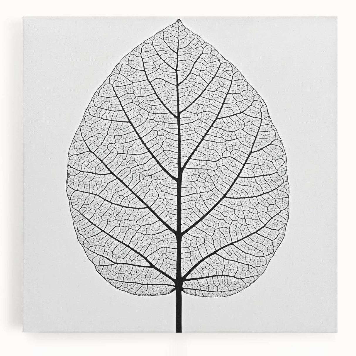 Close-up of leaves in black and white on a large stretched canvas, ideal for kitchen art.
