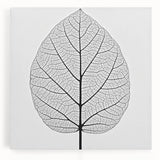 Close-up of leaves in black and white on a large stretched canvas, ideal for kitchen art.