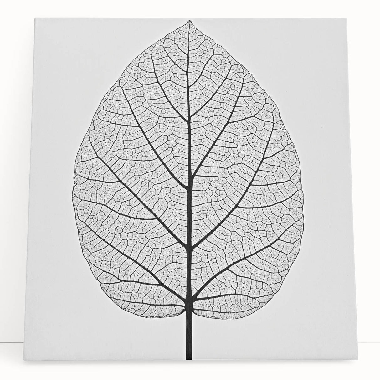 Close-up of leaves in black and white on a stretched canvas, ideal for kitchen wall art or bedroom decor.