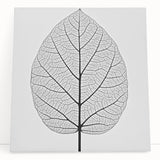 Close-up of leaves in black and white on a stretched canvas, ideal for kitchen wall art or bedroom decor.