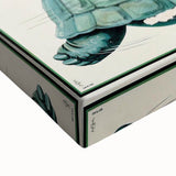 Retro Guinness Turtle Poster - Vintage Bar Wall Art Print