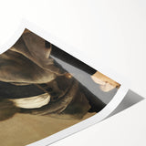 Renaissance Art Prints - Raphael’s Portrait of Baldassare Castiglione