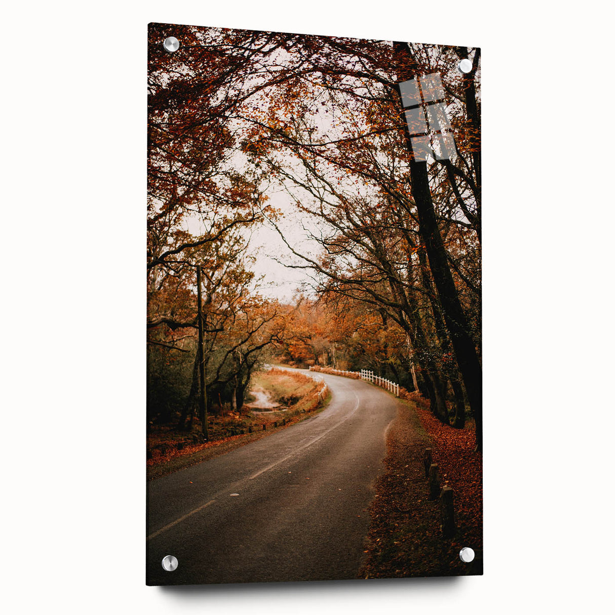 Large abstract wall art depicting fall season in muted orange and brown tones on acrylic glass.