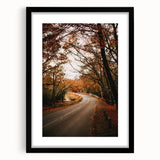 Colorful abstract art print featuring vibrant autumn shades on textured canvas, framed in black.